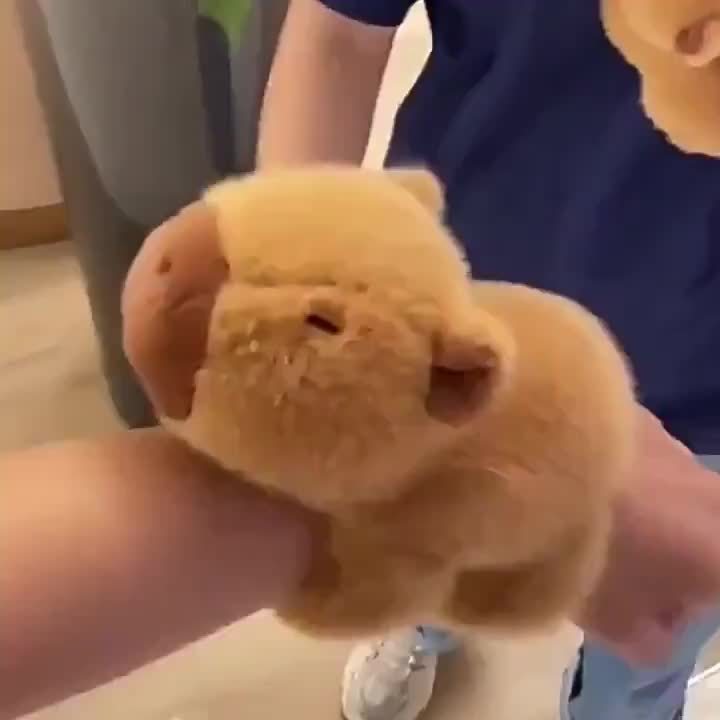 Adorable Capybara Plush Toy Wristband - Soft PP, Deep Brown Guinea Pig Stuffed Animal Keychain, Perfect for Play & Decoration, Decorative Accessory|Cute Wristband|Quality Plush Material, Capybara Stuffed Animal for winter